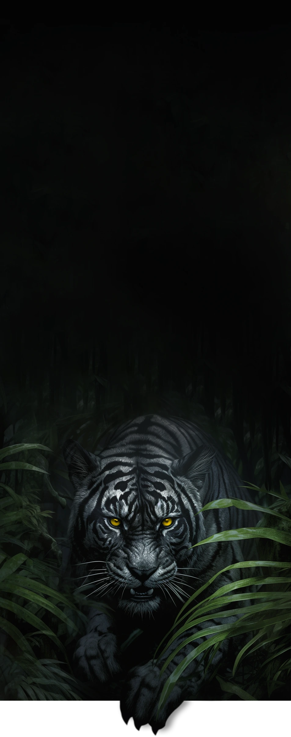 Black Tiger Advertising